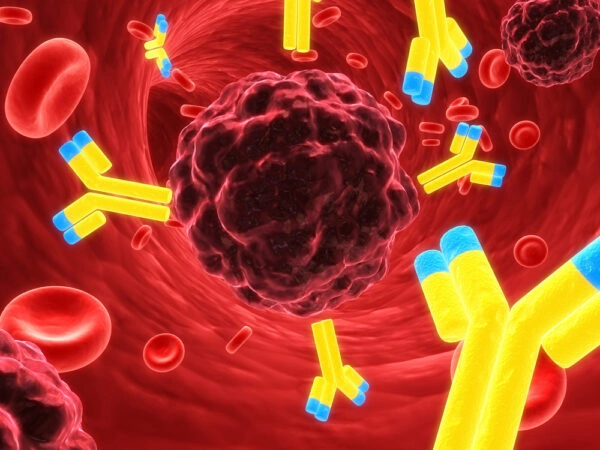 Immunsystem